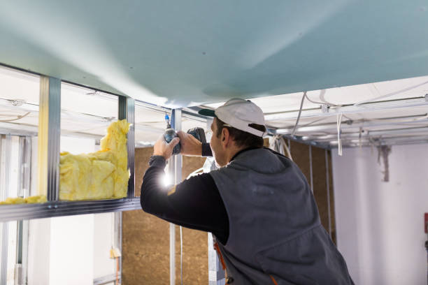 Best Blown-in Insulation in West Sharyland, TX