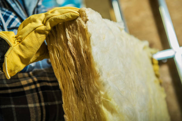 Best Fiberglass Insulation in West Sharyland, TX