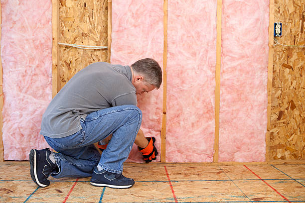 Best Geographic-Specific Insulation Services in West Sharyland, TX