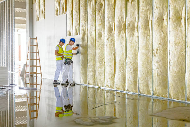 Best Cellulose Insulation in West Sharyland, TX